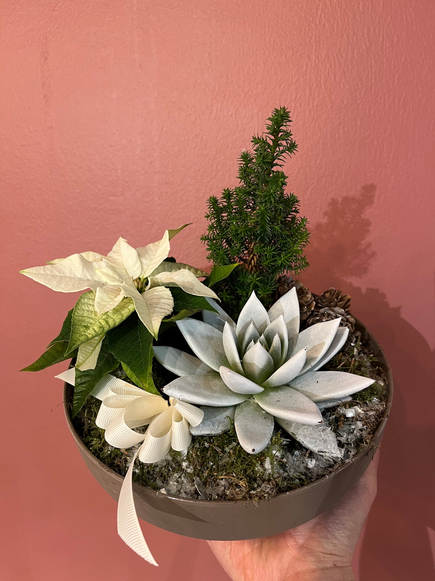 Liten hvit sammenplanting