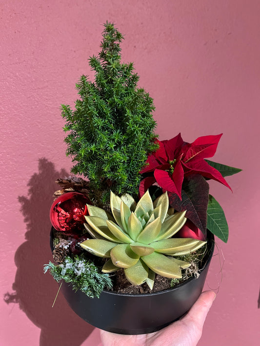 Liten sammenplanting